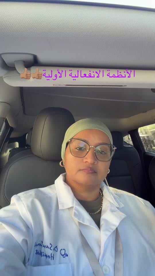 Post 4 by Sara Ahmed on TikTok (video)