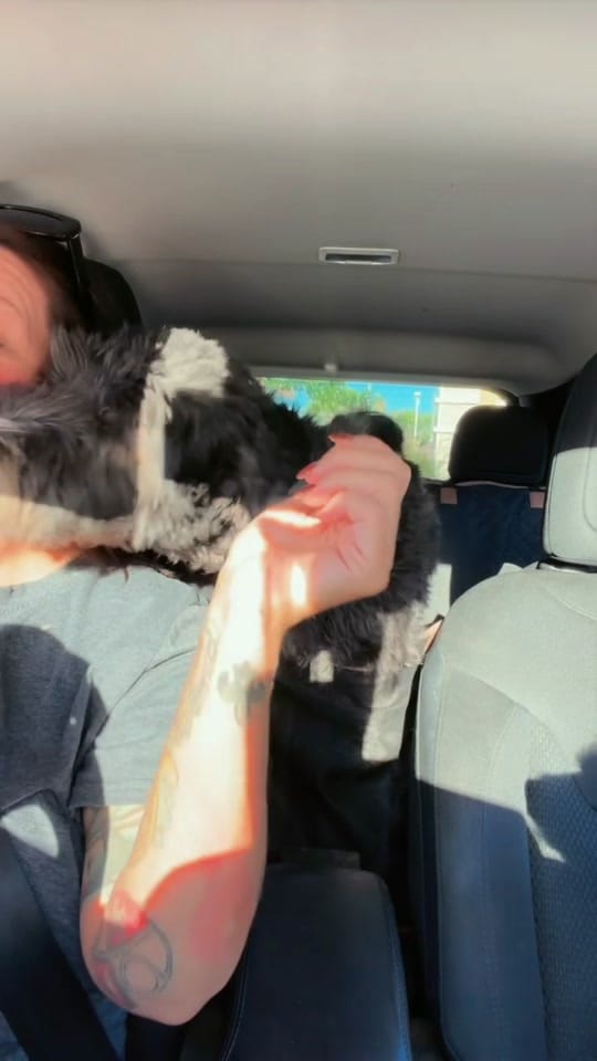 Post 10 by Bel🖤 on TikTok (video)
