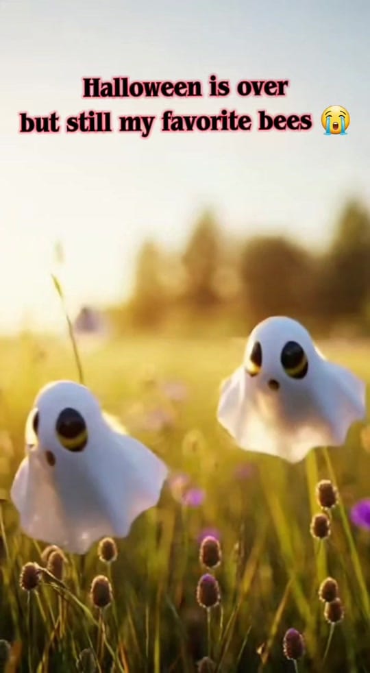 Post 3 by ĠööďyNØ$$🐦‍🔥 on TikTok (video)