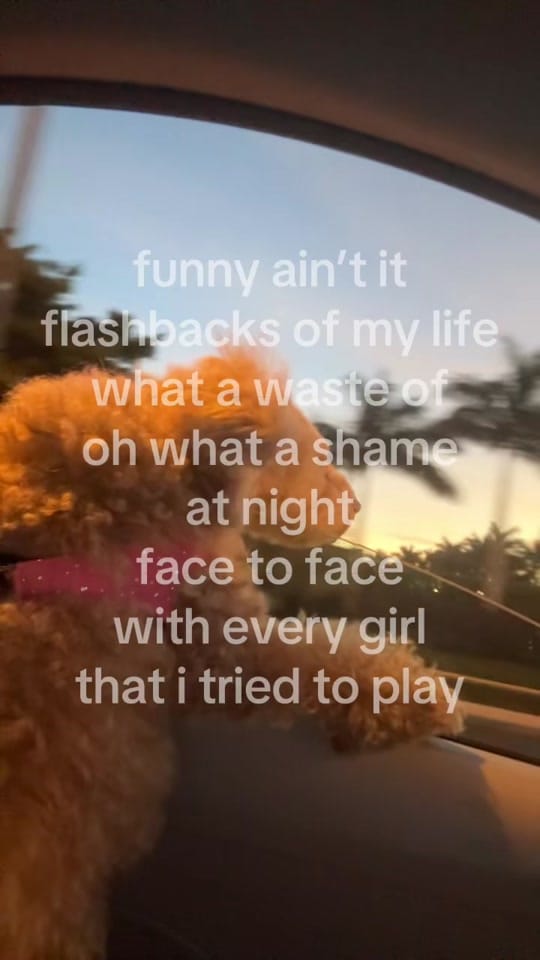 Post 5 by molly ☆ medical student on TikTok (video)