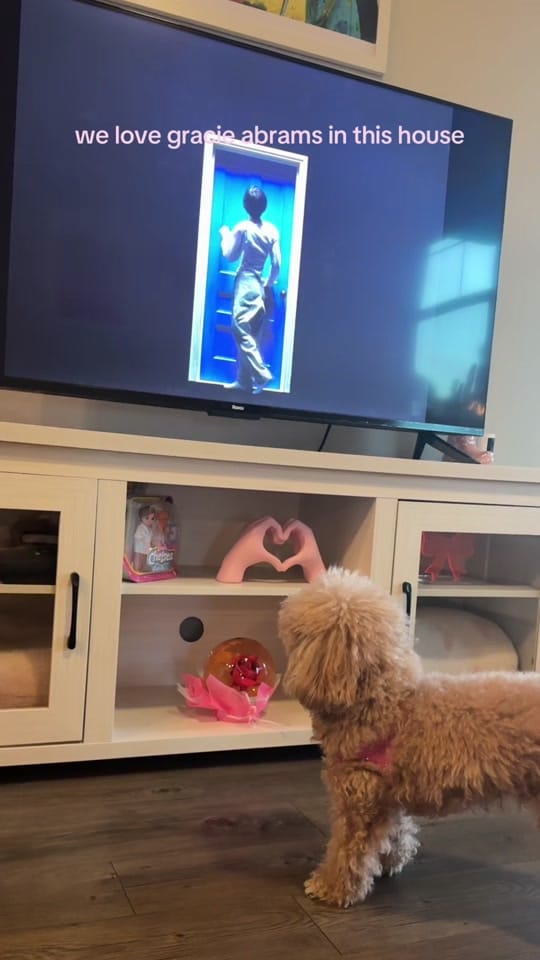 Post 6 by molly ☆ medical student on TikTok (video)