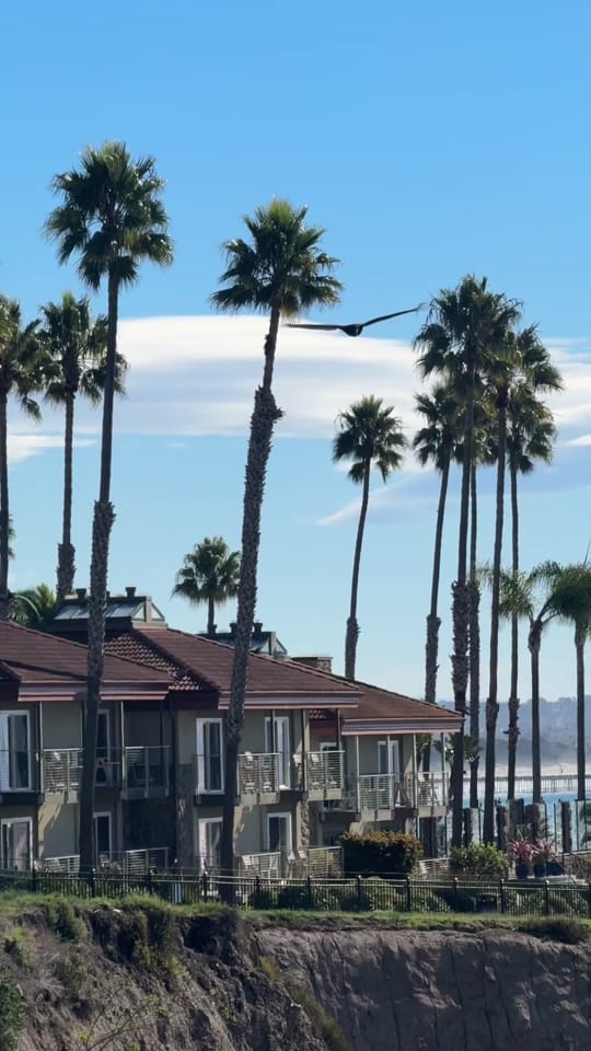 Post 9 by ♡ BRI on TikTok (video)