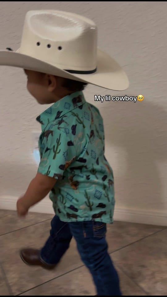 Post 1 by Marisol on TikTok (video)
