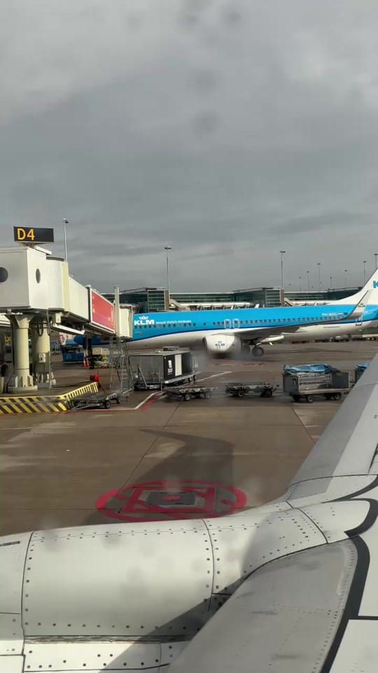 Post 6 by stefanocapasso on TikTok (video)
