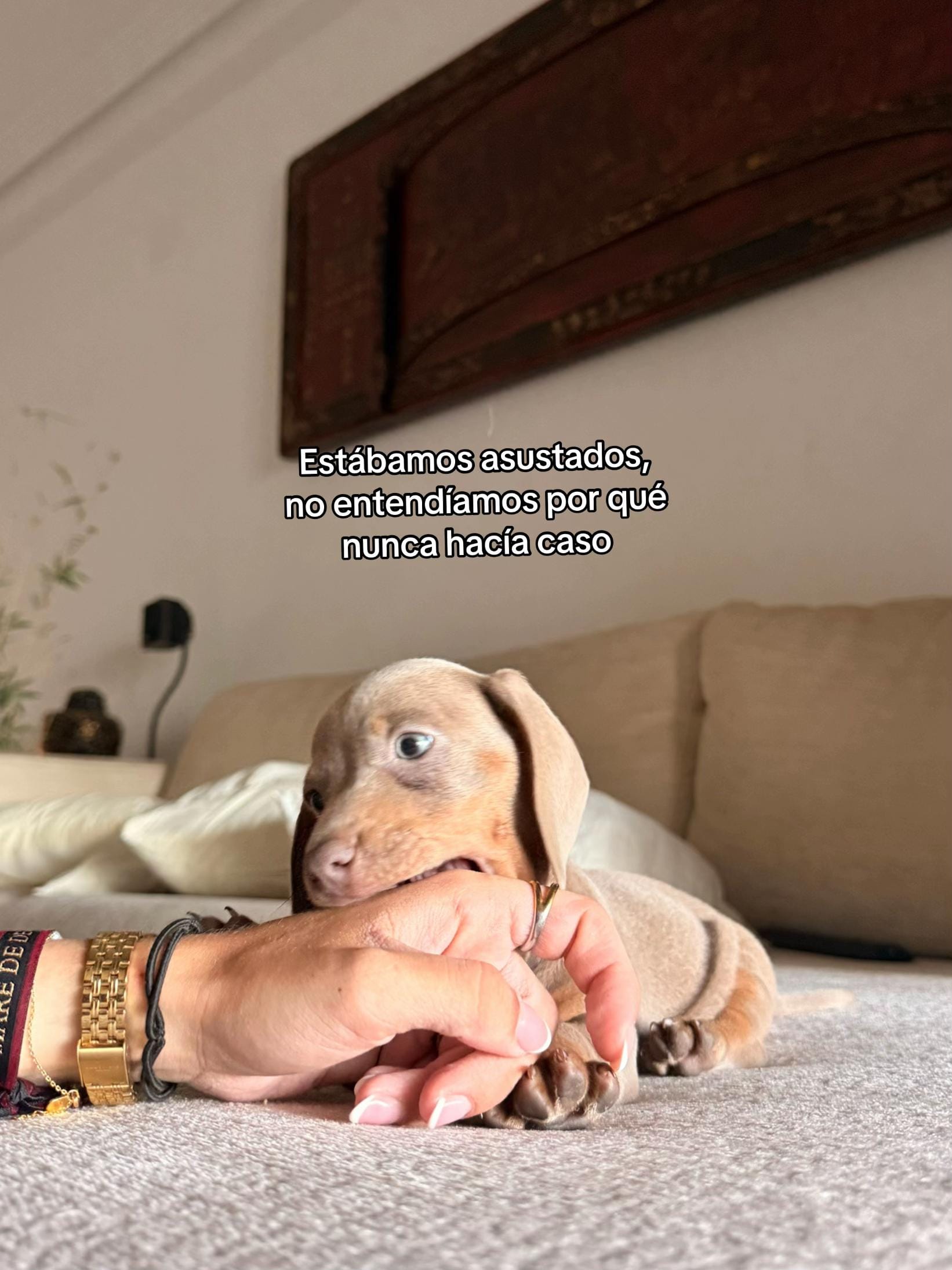 Post 6 by paulagarciamacia on TikTok (video)