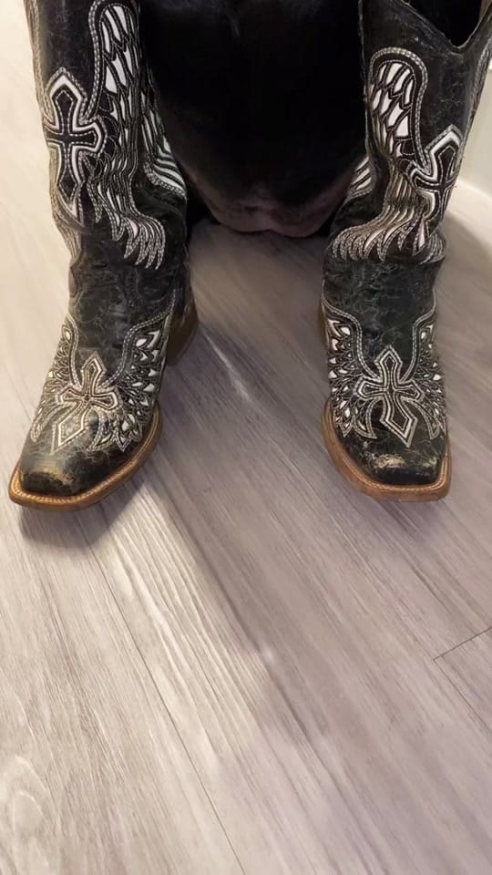 Post 1 by Lauren LaBlue on TikTok (video)