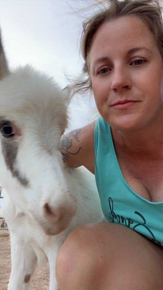 Post 3 by Mini ASSets Farm on TikTok (video)