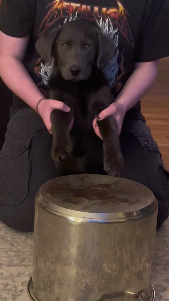 Post 6 by LeesaRN 💜🌈 on TikTok (video)