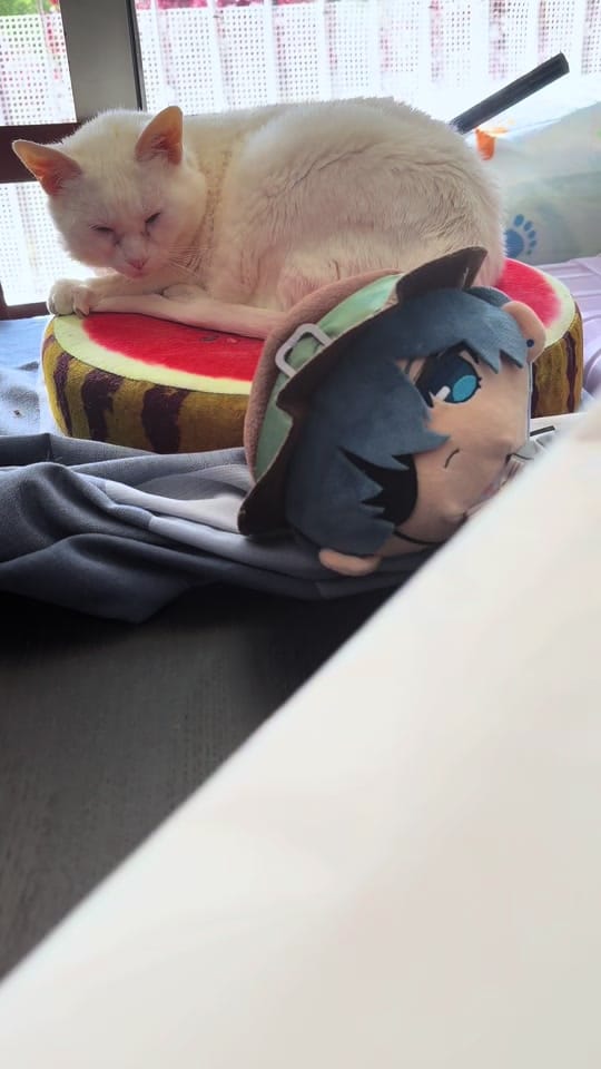 Post 3 by Antilia on TikTok (video)