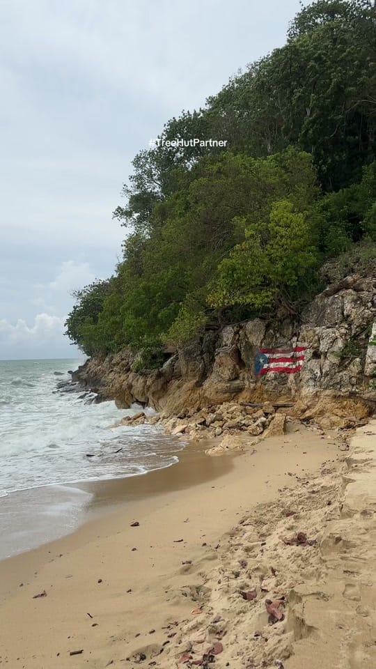 Post 7 by Alexis Nicole, NNP on TikTok (video)
