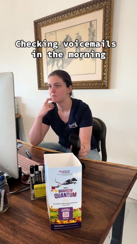Post 2 by Vaquero on TikTok (video)