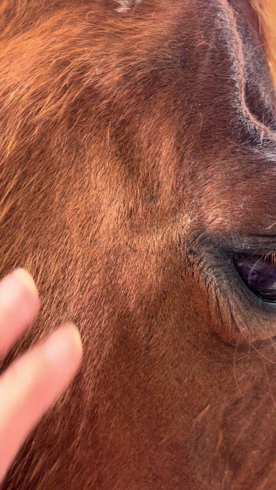 Post 3 by CaliKimRN on TikTok (video)