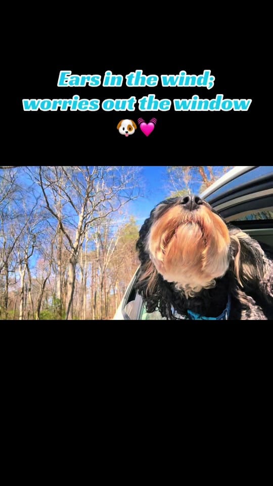 Post 3 by jennahuntsmusic on TikTok (video)