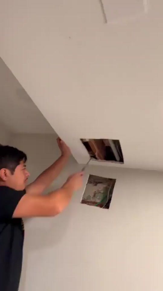 Post 2 by cecily on TikTok (video)