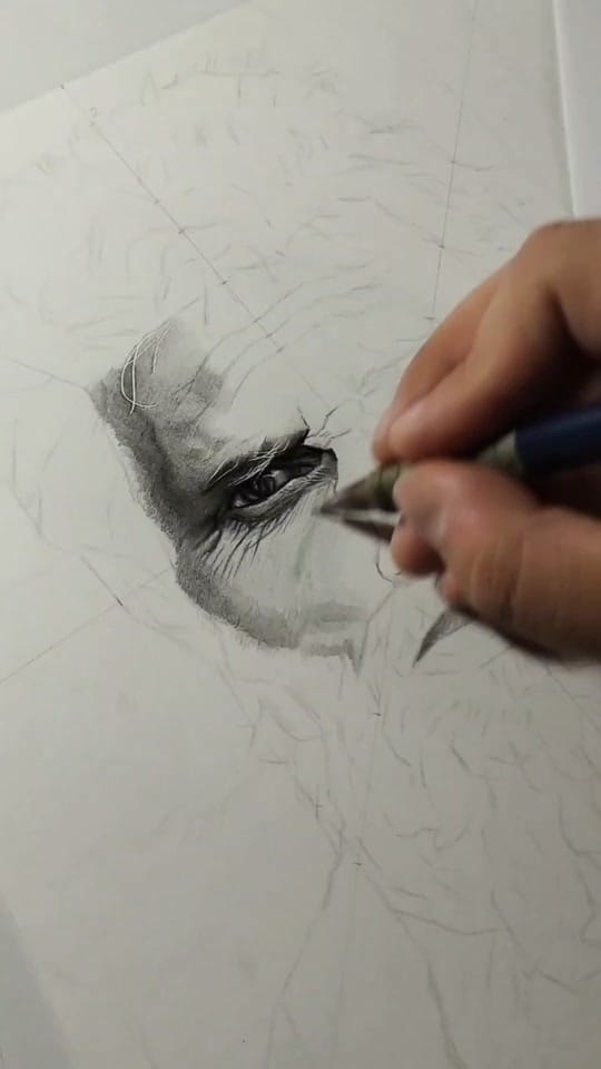 Post 4 by Jahzeel Villamizar Olarte on TikTok (video)