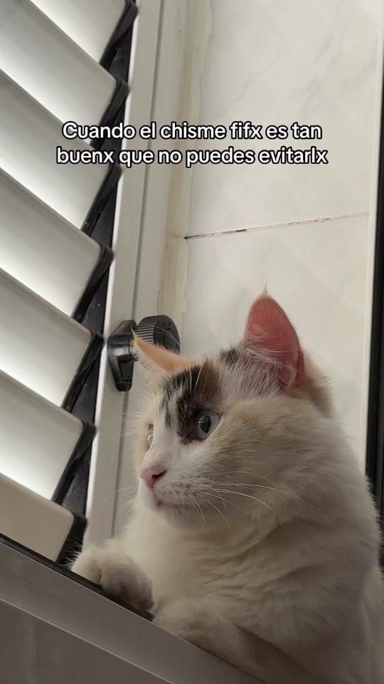 Post 9 by Fran 〽️artínez on TikTok (video)