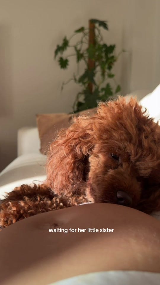 Post 4 by Mila Syvatska on TikTok (video)
