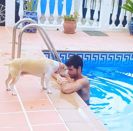 Post 3 by Vladi J on TikTok (video)