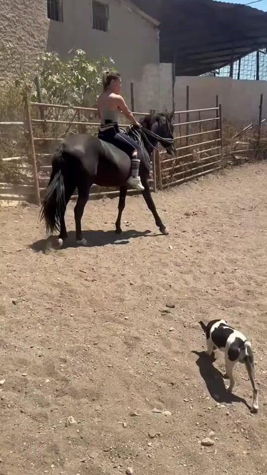 Post 3 by Deel🖤 on TikTok (video)