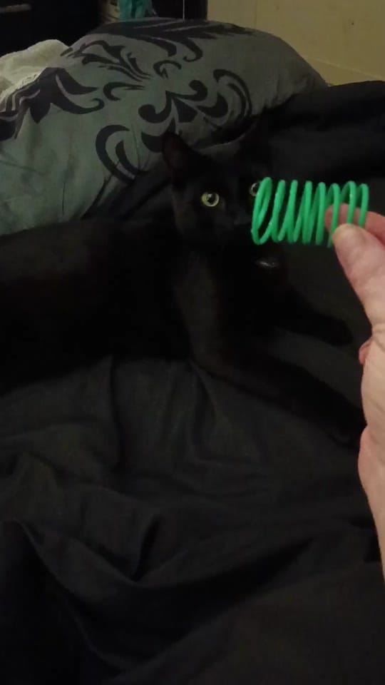 Post 8 by Nicole Smith Murphy on TikTok (video)