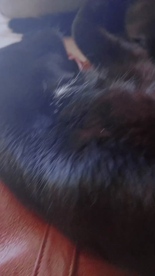 Post 3 by Nicole Smith Murphy on TikTok (video)