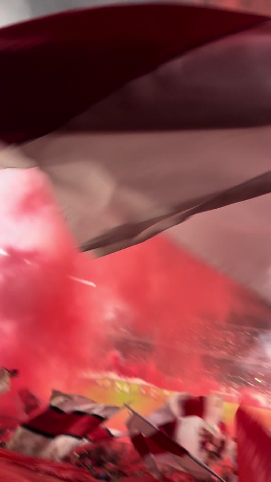 Post 8 by RIVER PLATE on TikTok (video)