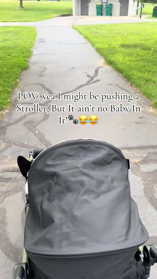 Post 4 by Day2trendyy🐺🐾🖤 on TikTok (video)