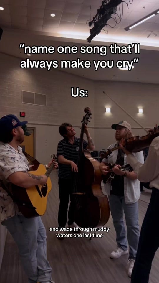Post 4 by Troubadour Blue on TikTok (video)