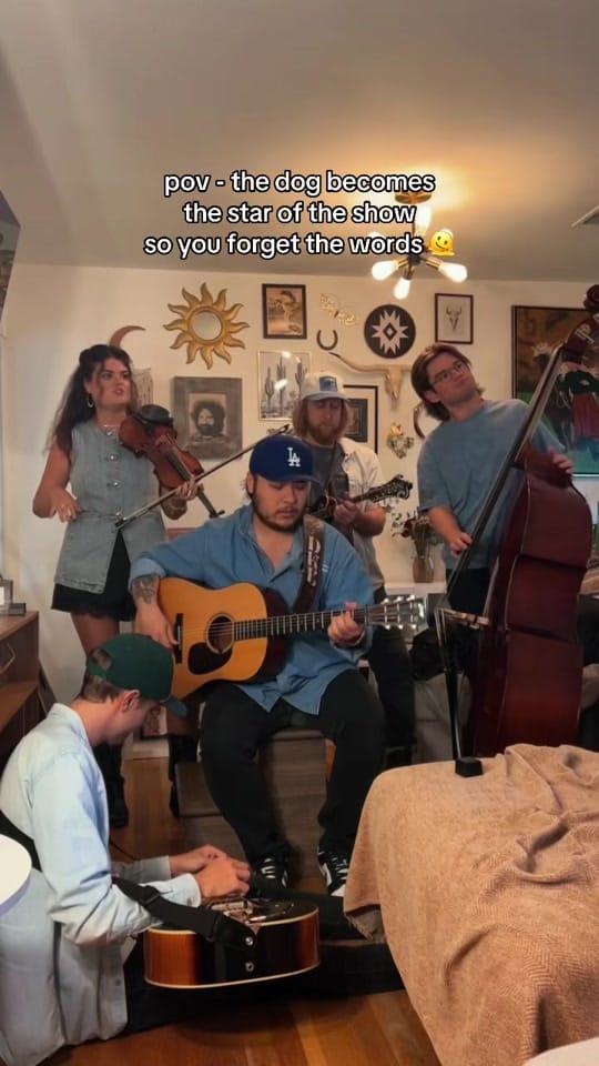 Post 1 by Troubadour Blue on TikTok (video)