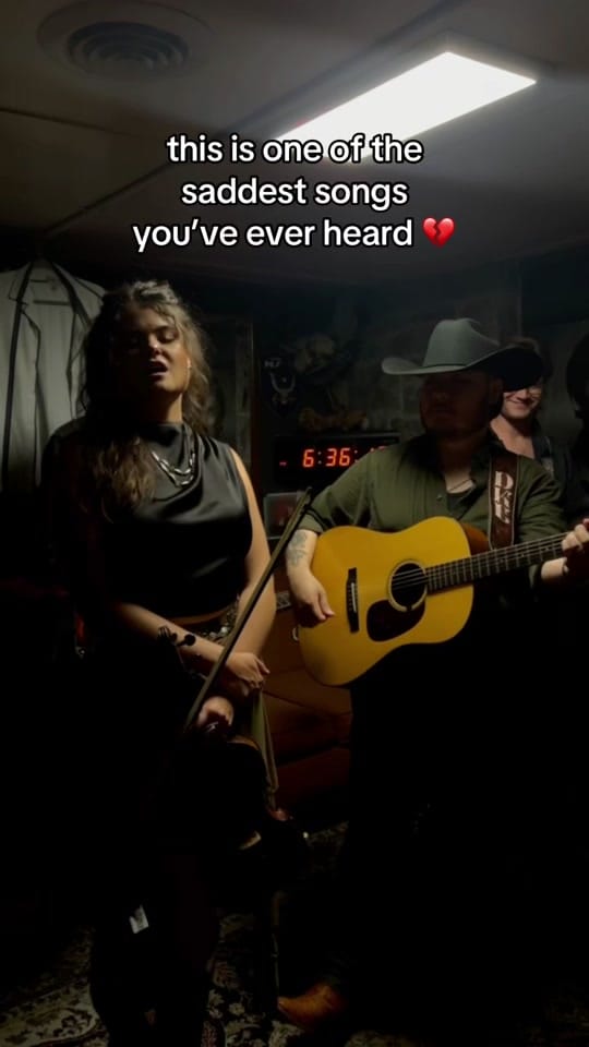 Post 7 by Troubadour Blue on TikTok (video)