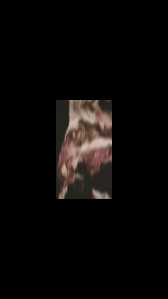 Post 2 by NúriaRoviraSalat on TikTok (video)