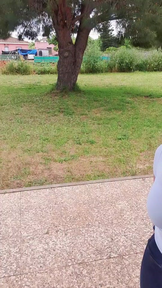 Post 9 by sara carmona on TikTok (video)