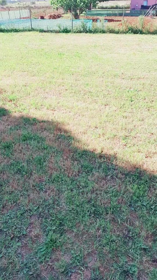 Post 10 by sara carmona on TikTok (video)