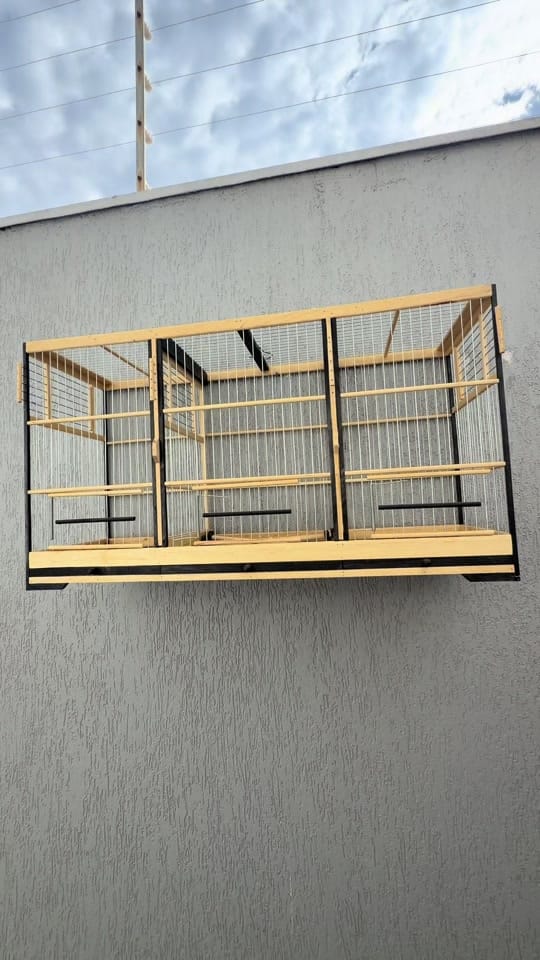 Post 1 by CRIATORIO ALCANTARA on TikTok (video)