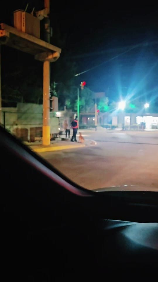 Post 9 by PayaRomeo🎩🌷💙🦅 on TikTok (video)