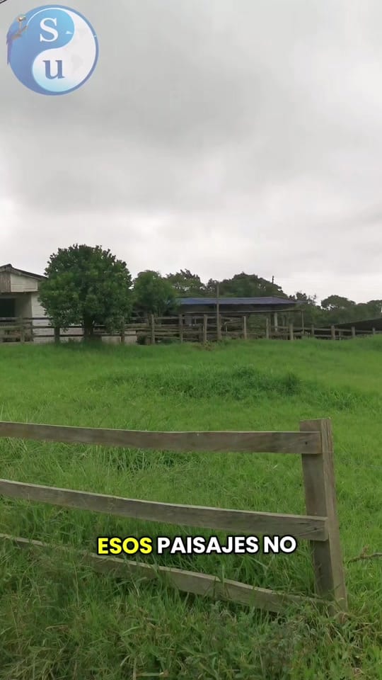 Post 8 by SaberUniversal on TikTok (video)