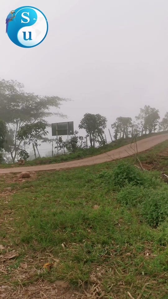 Post 1 by SaberUniversal on TikTok (video)
