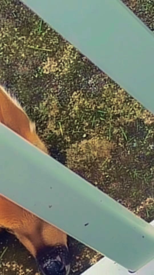 Post 5 by Nisha Sunar🙏❤️ on TikTok (video)