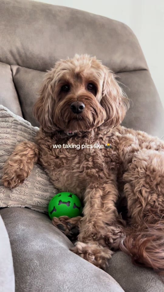 Post 2 by ML on TikTok (video)