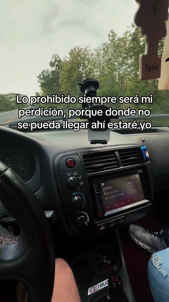 Post 7 by Carlos Sevilla on TikTok (video)