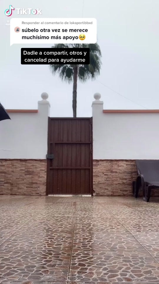 Post 10 by 🌞Ray✨ on TikTok (video)