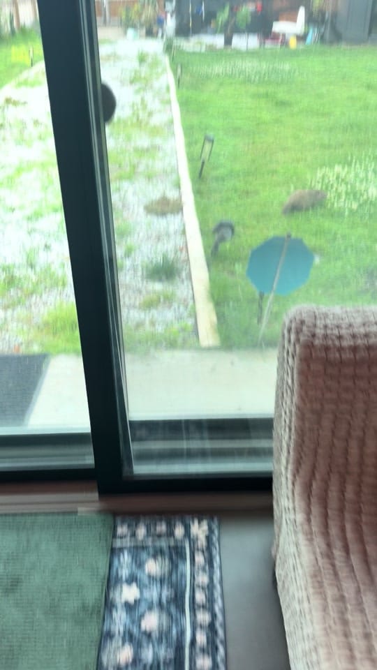 Post 5 by Summer Overstreet on TikTok (video)