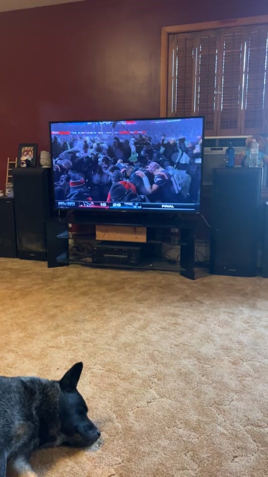 Post 4 by andy.the.farmer on TikTok (video)