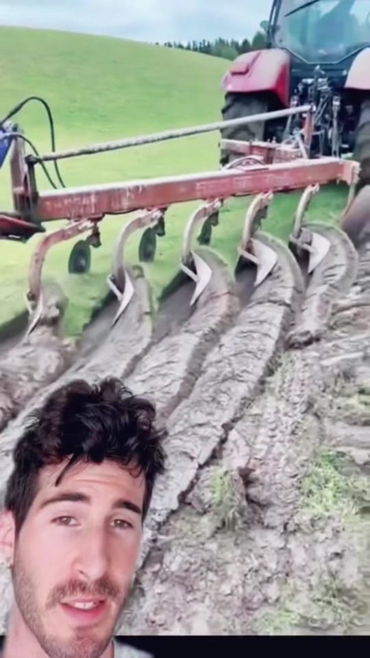 Post 8 by andy.the.farmer on TikTok (video)