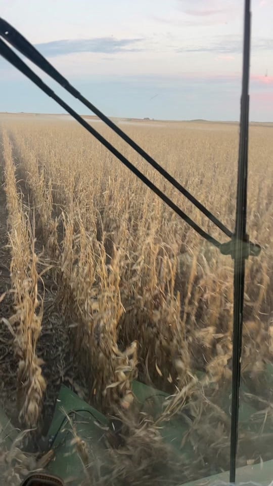 Post 7 by andy.the.farmer on TikTok (video)