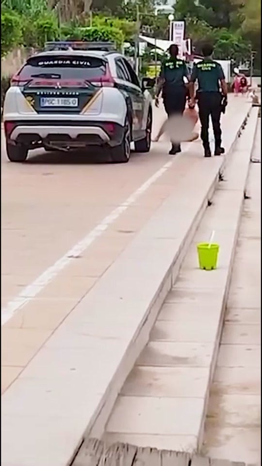 Post 7 by Ibiza Report on TikTok (video)