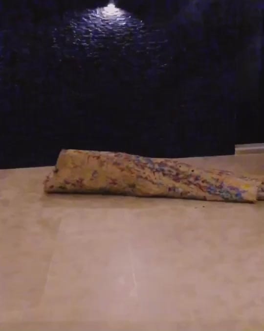 Post 9 by Bushidoagent on TikTok (video)