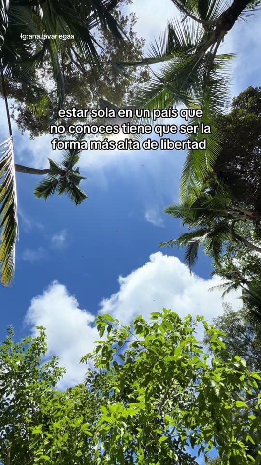 Post 4 by Ana Lavariega on TikTok (video)