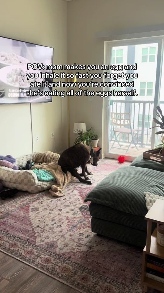 Post 9 by Bandit + Danni on TikTok (video)