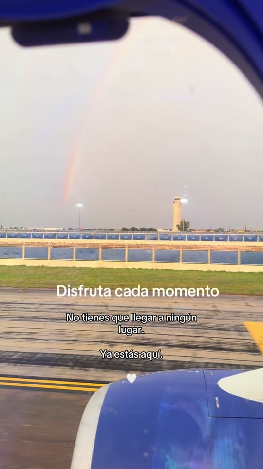 Post 4 by Shael on TikTok (video)